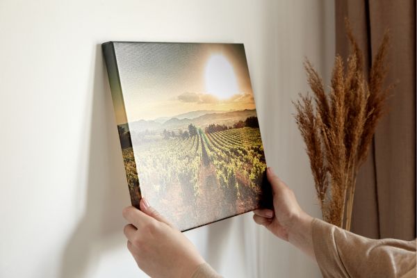 canvas art for bathroom